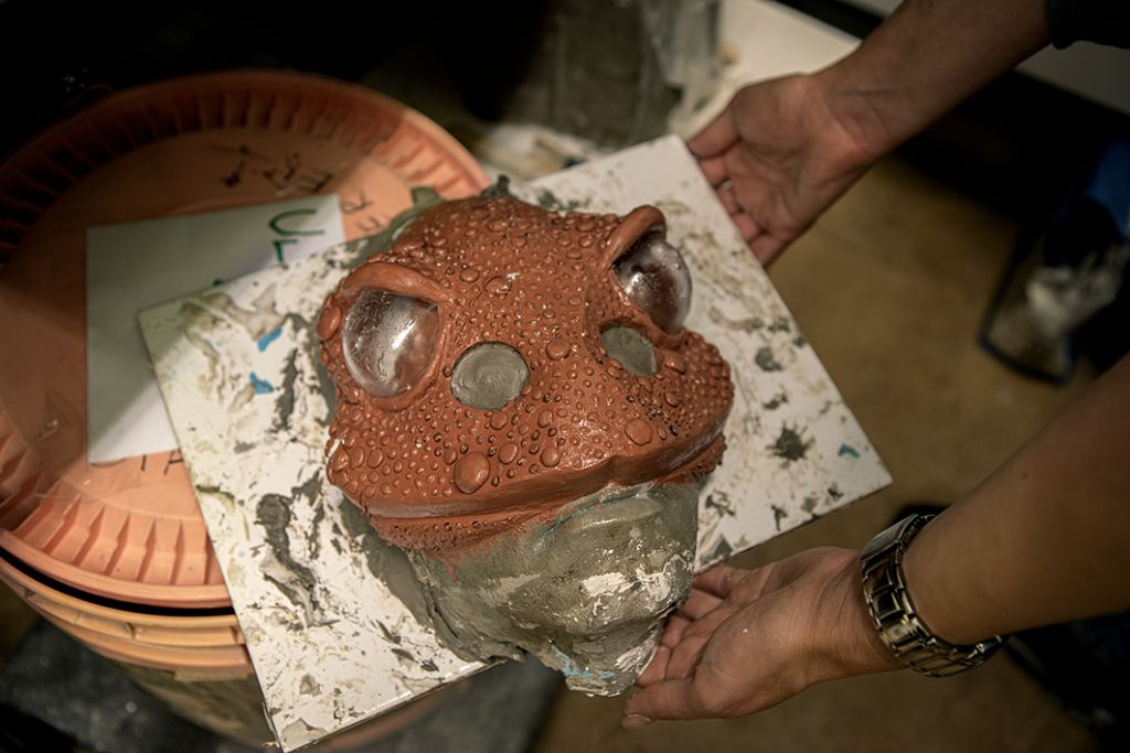 en mask föreställnade en padda